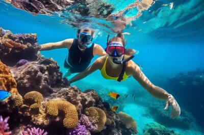 3 Islands, Dolphins & Snorkel Yacht Trip w/ Lunch