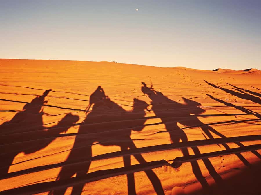 Hurghada: 6-Hour Jeep Desert Safari, Dinner, and Show - The Land Cruiser safari and desert mirages