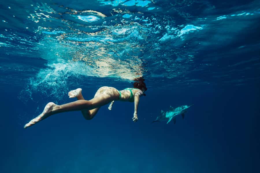 Hurghada: All-Inclusive Elite VIP Dolphin House & Massage - Why Dolphin House is worth the early start