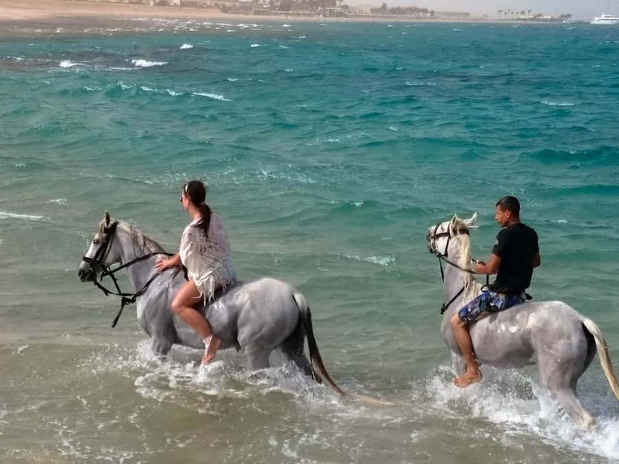 Hurghada: Arabian Desert and Sea Horseback Adventure - Choosing sunrise, daytime, or sunset