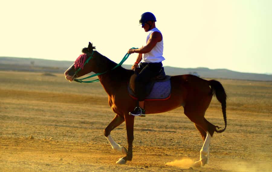 Hurghada: Arabian Desert and Sea Horseback Adventure - Dinner, music, and desert stargazing