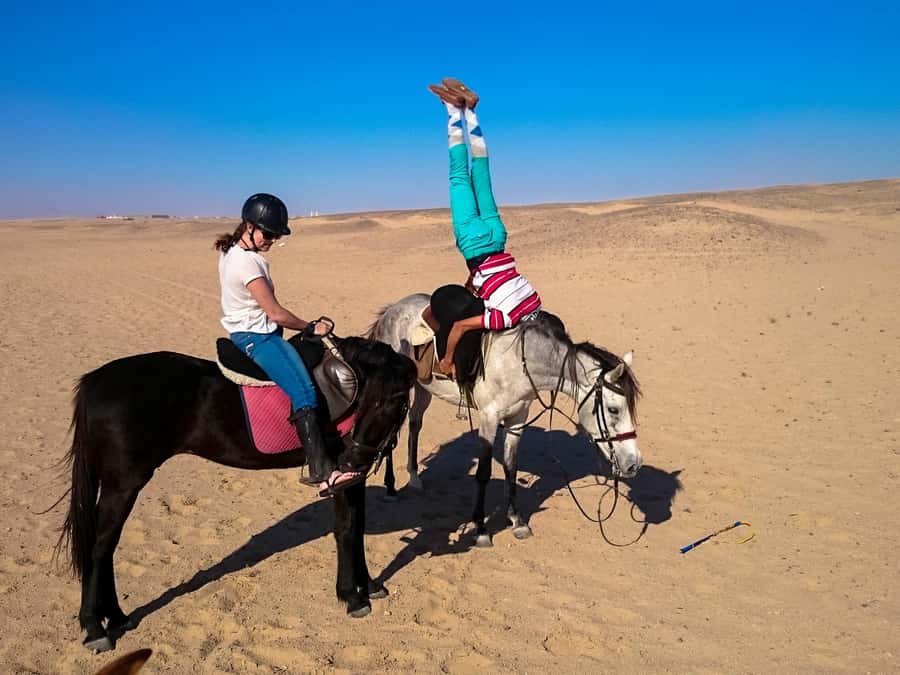 Hurghada: Arabian Desert and Sea Horseback Adventure - Price, value, and what you actually receive