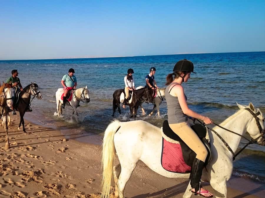 Hurghada: Arabian Desert and Sea Horseback Adventure - Who should book this ride?
