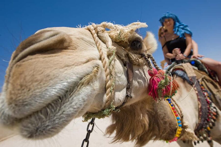 Hurghada: ATV Quad, Jeep and Buggy Safari with BBQ Dinner - BBQ dinner under the Bedouin tent