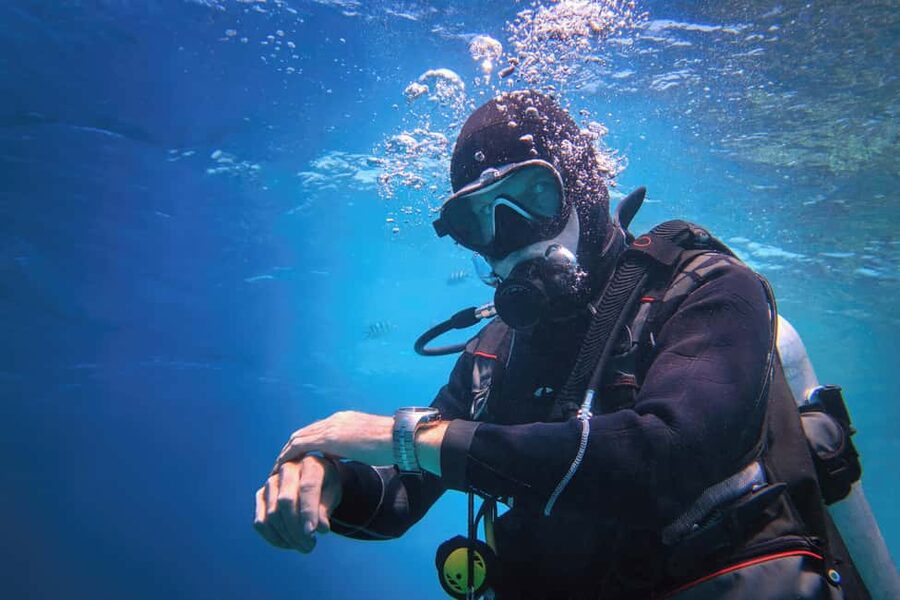 Hurghada: Beginners Scuba Diving Full-Day Boat Trip & Lunch - What the boat day feels like