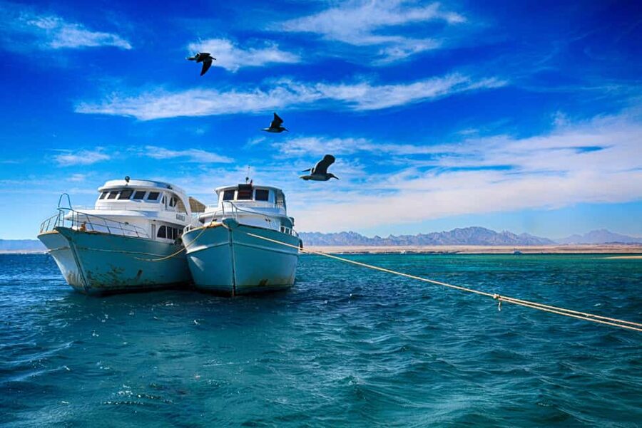 Hurghada: Beginners Scuba Diving Full-Day Boat Trip & Lunch - How much value do you get for $30?