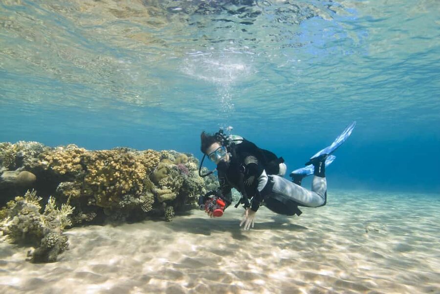 Hurghada: Beginners Scuba Diving Full-Day Boat Trip & Lunch - Who should book this experience?