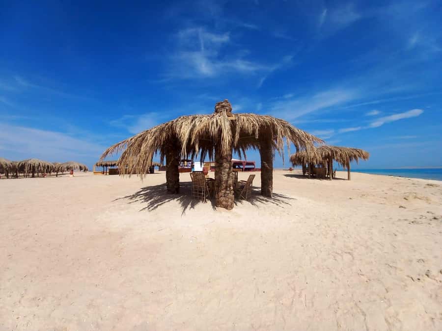 Hurghada: Boat trip to Magawish island with Multi Options - Two hours around the Red Sea reefs