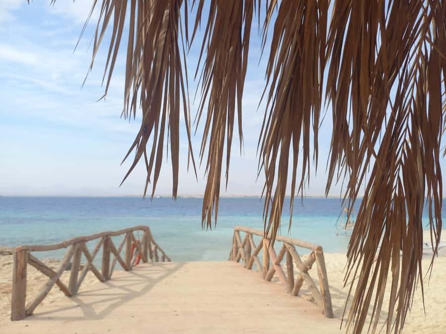 Hurghada: Boat trip to Magawish island with Multi Options - The morning transfer from your Hurghada hotel
