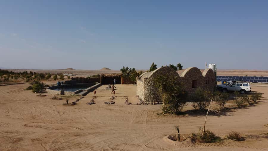 Hurghada: Camel Ride & horse ride and Off-Road Jeep Tour - Key points to know before you go