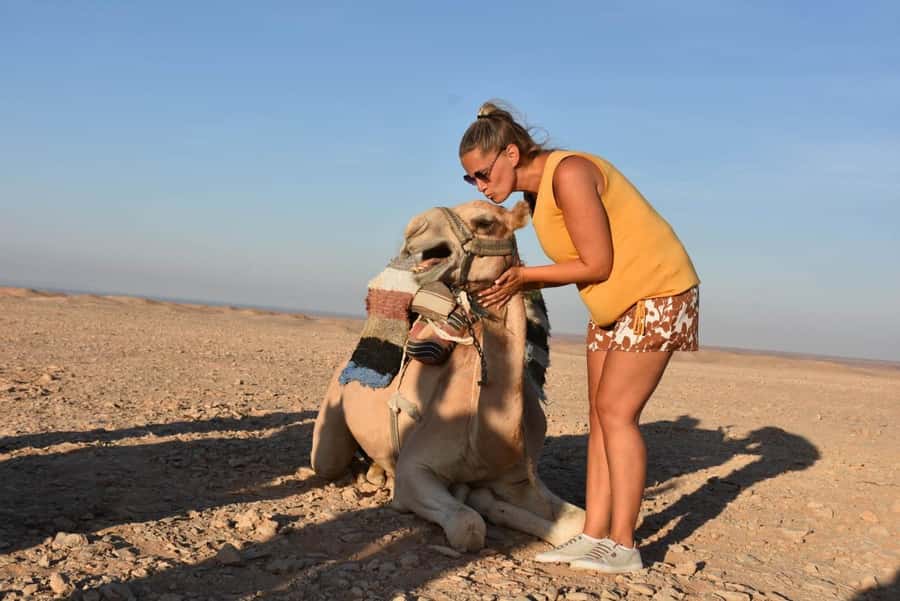 Hurghada: Camel Ride & horse ride and Off-Road Jeep Tour - A desert outing with more than a camel ride