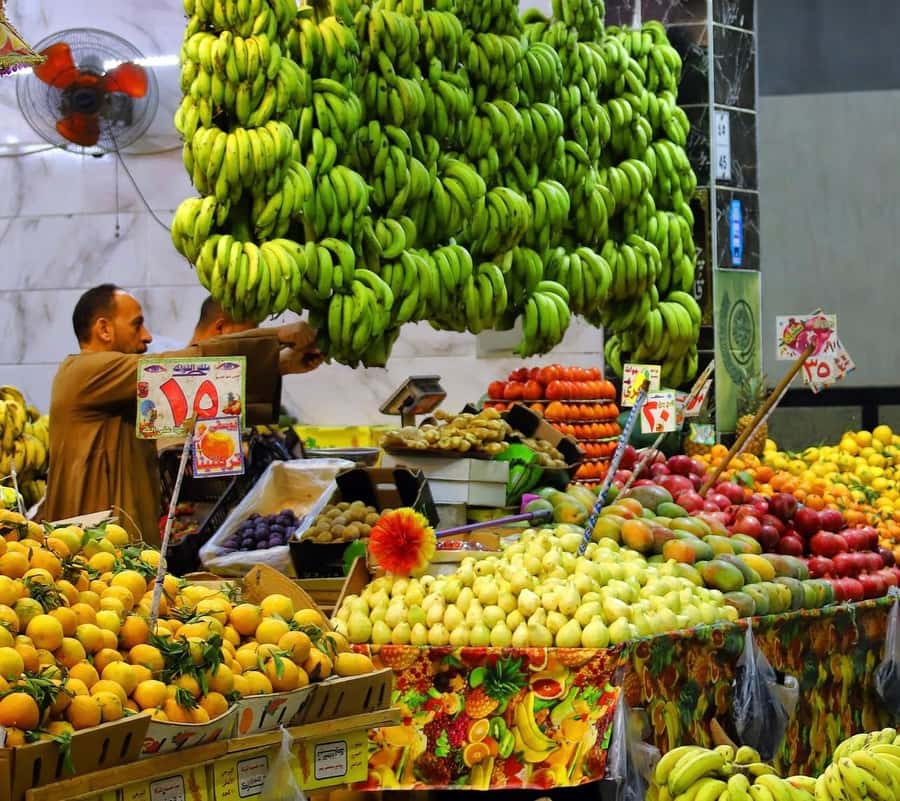 Hurghada: City Guided Tour with Local Market Stop - Key points to know before booking
