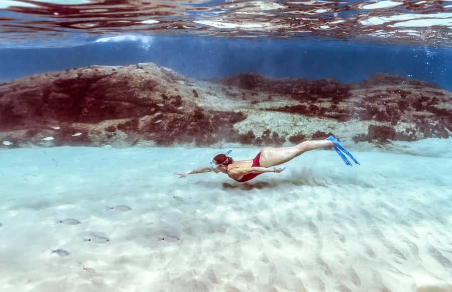 Hurghada: Day Snorkeling with Dolphins - Who will enjoy this day most