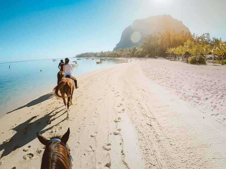 Hurghada: Desert and Sea Horseback Riding Tour with Transfer - Key points to know before you book