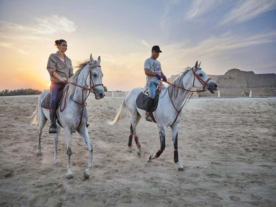 Hurghada: Desert and Sea Horseback Riding Tour with Transfer - Why this horse ride feels different from a standard desert tour