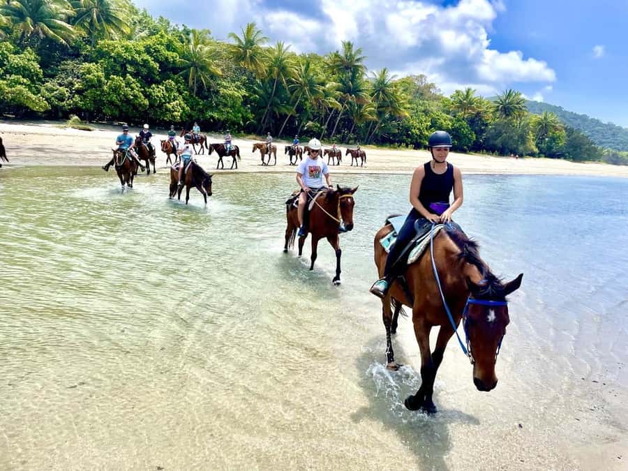 Hurghada: Desert and Sea Horseback Riding Tour with Transfer - Meeting the horses and getting ready