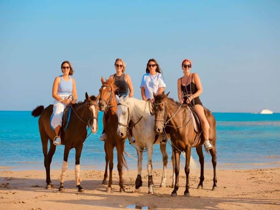 Hurghada: Desert and Sea Horseback Riding Tour with Transfer - Reaching the Red Sea on horseback
