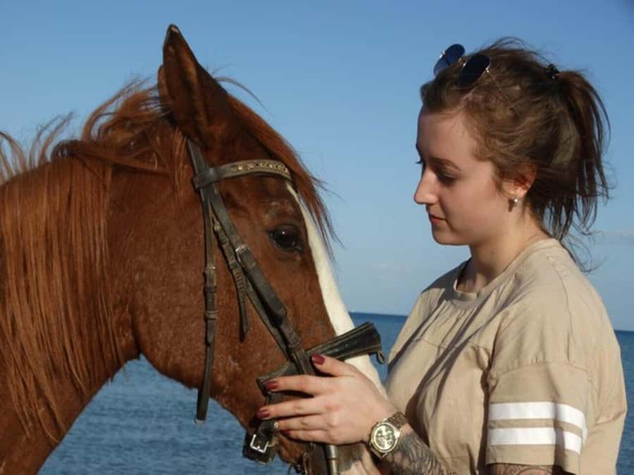 Hurghada: Desert and Sea Horseback Riding Tour with Transfer - Pickup from your Hurghada hotel
