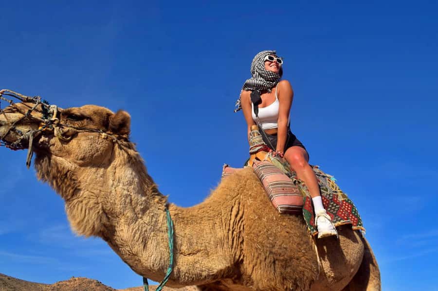 Hurghada: Desert Quad, Bedouin Village, and Camel Ride Tour - Key points to know before you book