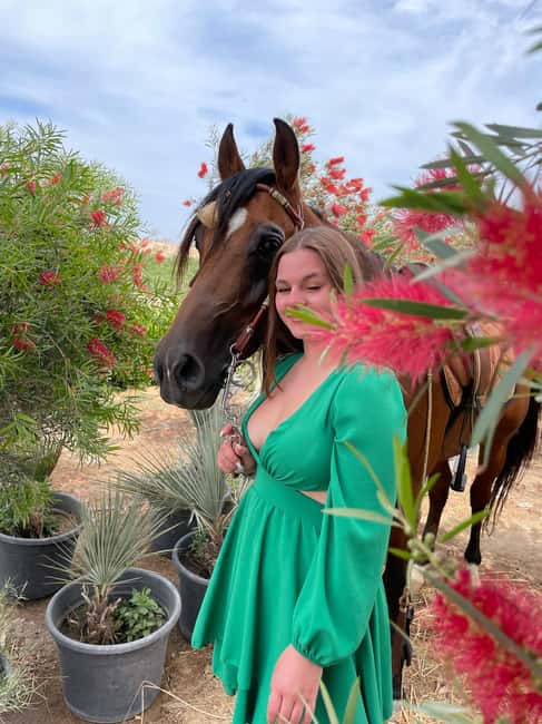 Hurghada: Desert & Sea Horse Riding with + 360° Photos - Meeting the Arabian horses