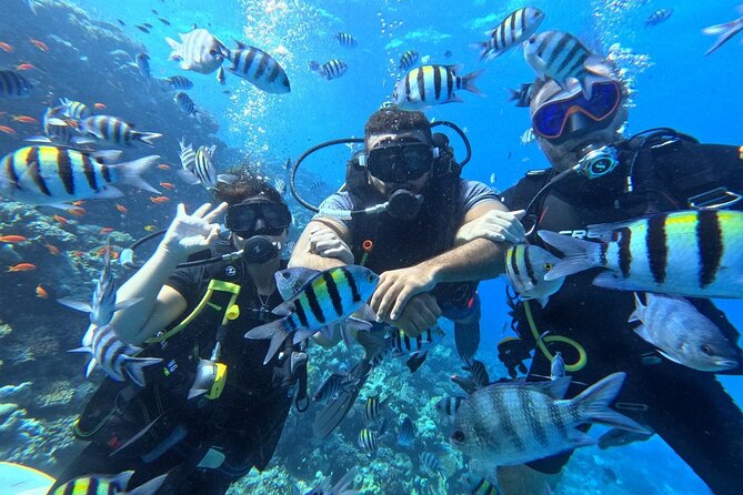 Hurghada Diving Adventure one Day with two Dives Boat Trip - Guided scuba for different experience levels