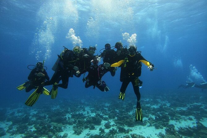 Hurghada Diving Adventure one Day with two Dives Boat Trip - Lunch, drinks, and the break between sessions