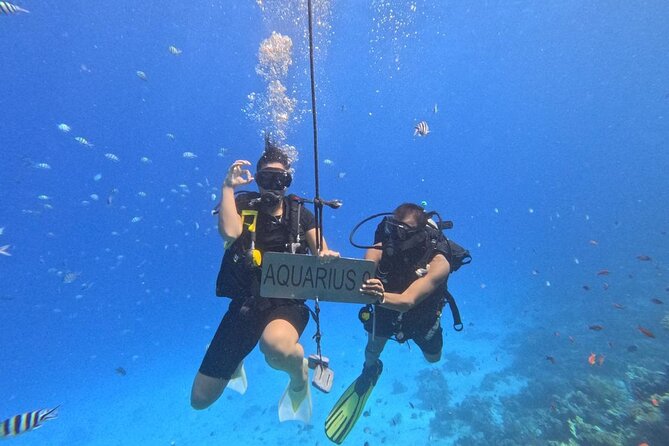 Hurghada Diving Adventure one Day with two Dives Boat Trip - Who should book this Hurghada outing?