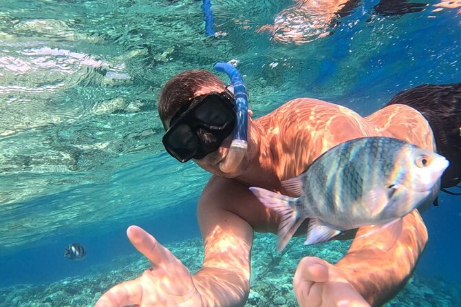 Hurghada Diving Adventure one Day with two Dives Boat Trip - What happens on the boat