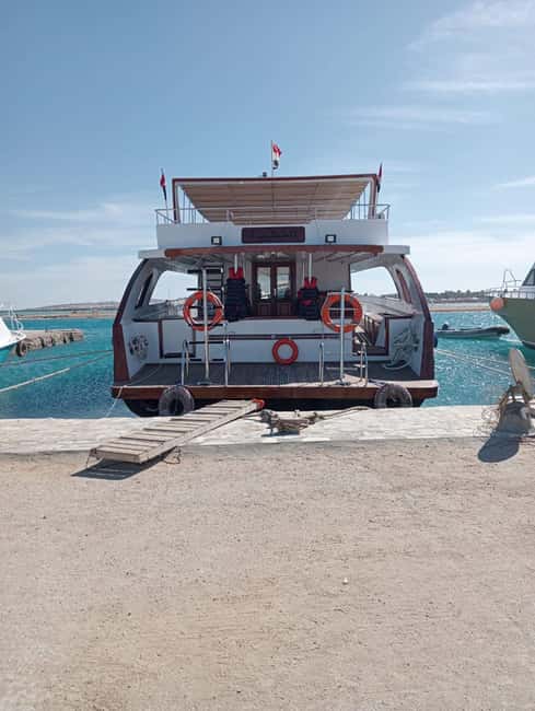 Hurghada: Dolphin & Coral Reef Snorkeling Tour with Lunch - FAQ