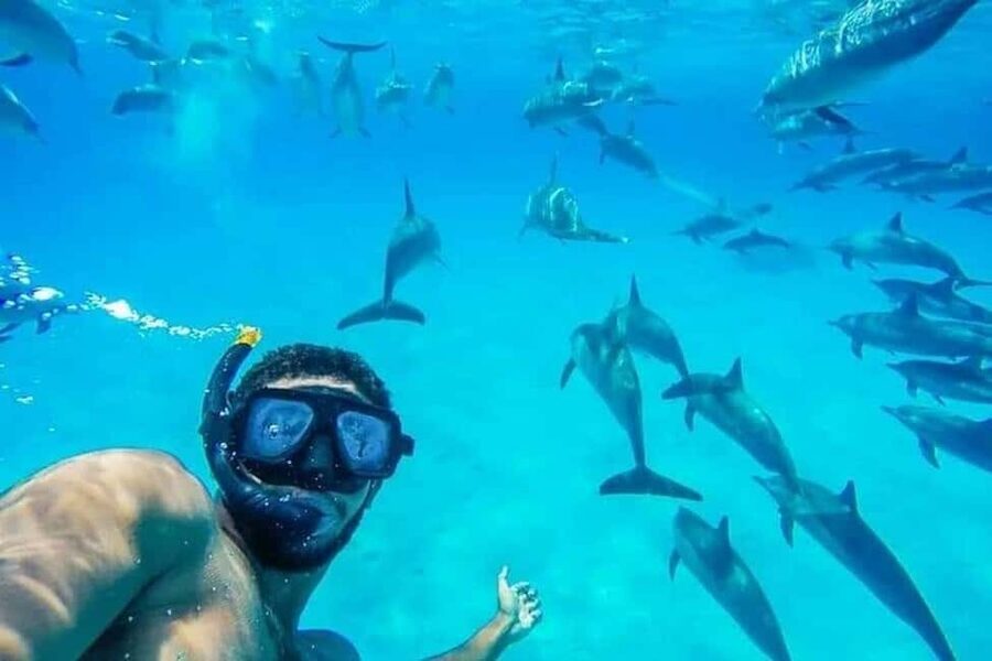 Hurghada: Dolphin & Coral Reef Snorkeling Tour with Lunch - Giftun Island and the value of time ashore