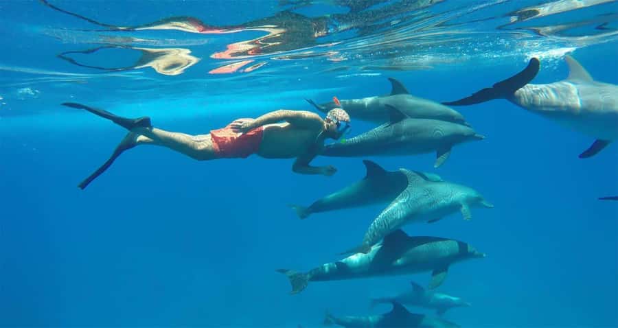 Hurghada: Dolphin watch Cruise with optional pickup - The yacht makes the day more comfortable