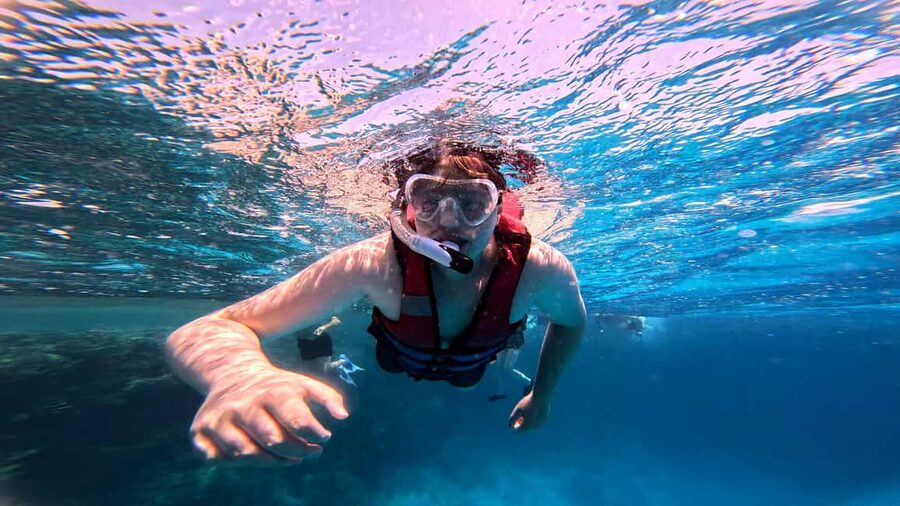 Hurghada: Dolphin Watching Boat Tour with Snorkeling & Lunch - Searching for Dolphins in Their Own Home