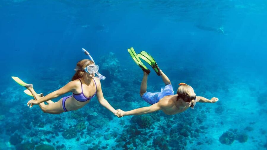 Hurghada: Dolphin Watching Boat Tour with Snorkeling & Lunch - Is $25 Good Value for a Red Sea Day?