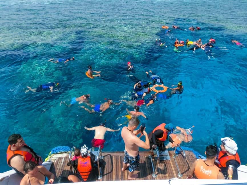 Hurghada: Dolphin Watching Boat Tour with Snorkeling & Lunch - Should You Book It?