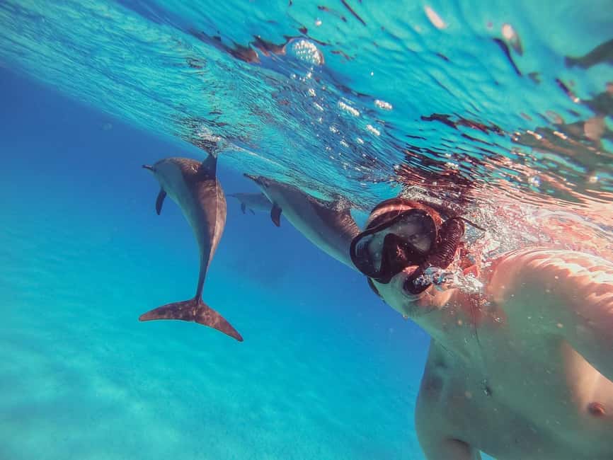 Hurghada: Dolphin Watching Boat Tour with Snorkeling & Lunch - Two Coral Reef Stops With Guided Snorkeling
