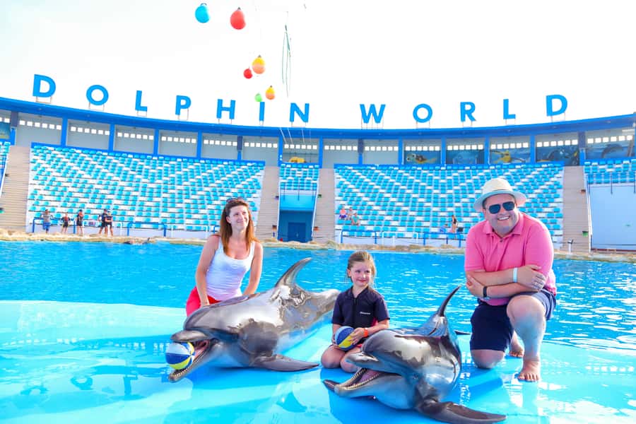 Hurghada: Dolphin World Show with Walruses and Pickup - Key points before you book