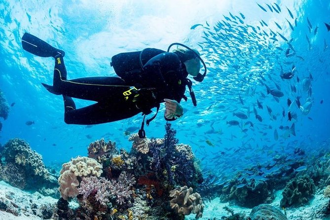 Hurghada: Full-Day Diving Tour with Lunch & Two Dive Sites - Key points to know before booking