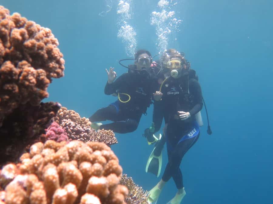 Hurghada: Full-Day Scuba Diving Tour with 2 Sites and Lunch - Key points to know before booking