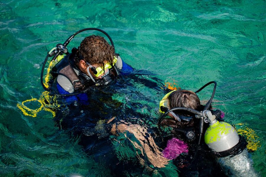 Hurghada: Full-Day Scuba Diving Tour with 2 Sites and Lunch - The boat ride, lunch, and time between activities