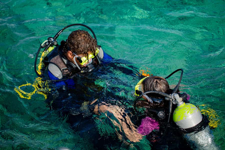 Hurghada: Full-Day Scuba Diving Tour with 2 Sites and Lunch - Pickup, equipment, and what to bring