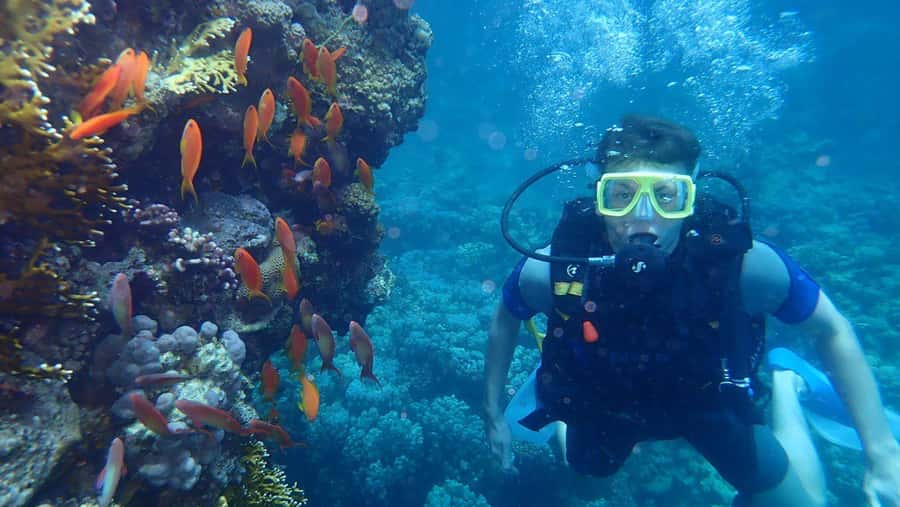 Hurghada: Full-Day Scuba Diving Tour with 2 Sites and Lunch - Booking details worth checking first