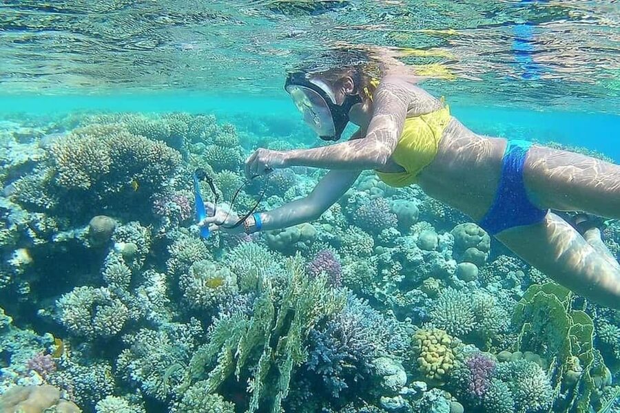 Hurghada: Full-Day Snorkeling Tour in Sharm El Naga w/Lunch - Beach time, lunch, and the midday pause