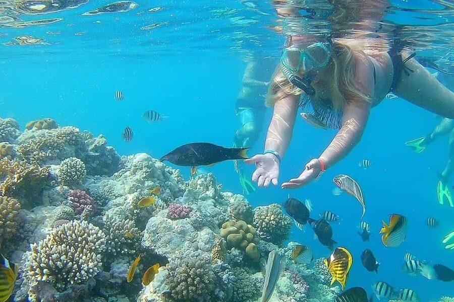 Hurghada: Full-Day Snorkeling Tour in Sharm El Naga w/Lunch - Practical details that make the day easier