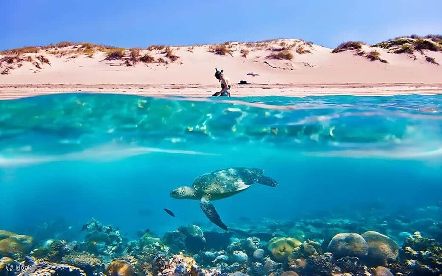 Hurghada: Giftun Island with breakfast, lunch & Water Sports - The real appeal: a full Red Sea day for $26
