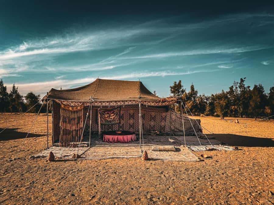 Hurghada: Hiking , dinner & stargazing - The panorama point and the value of slowing down