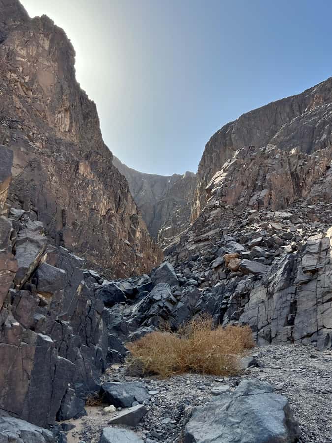 Hurghada: Hiking , dinner & stargazing - Sunset and a dinner built around the setting