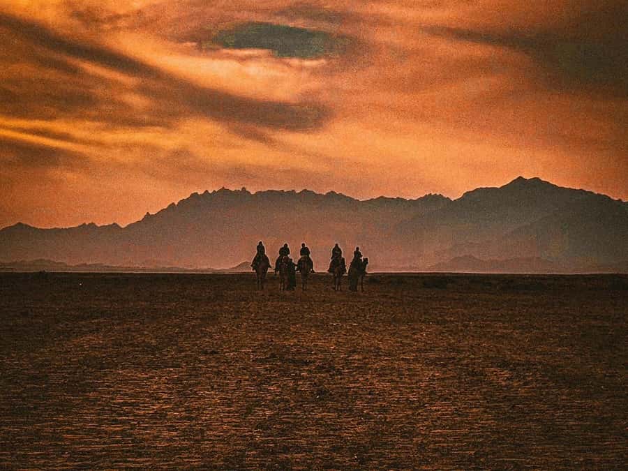 Hurghada: Hiking , dinner & stargazing - Stargazing with a telescope after dark