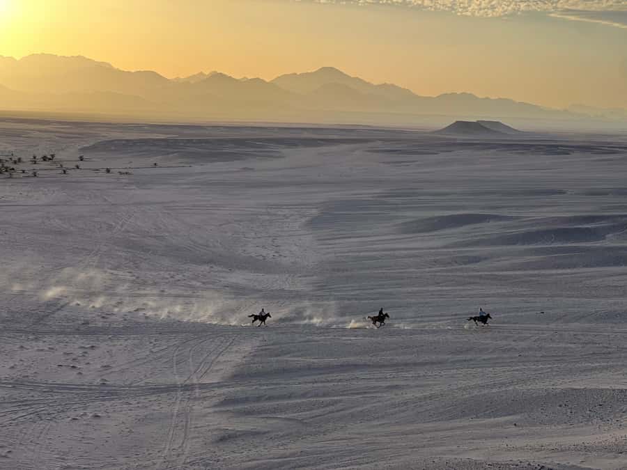 Hurghada: Horse Ride, BBQ Dinner, and Stargazing - Riding into the Red Sea desert at sunset