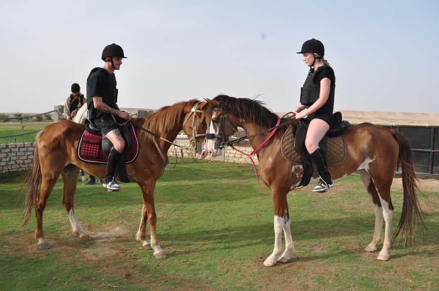 Hurghada: Horse Ride, BBQ Dinner, and Stargazing - Tea, an oasis, and a useful safety briefing