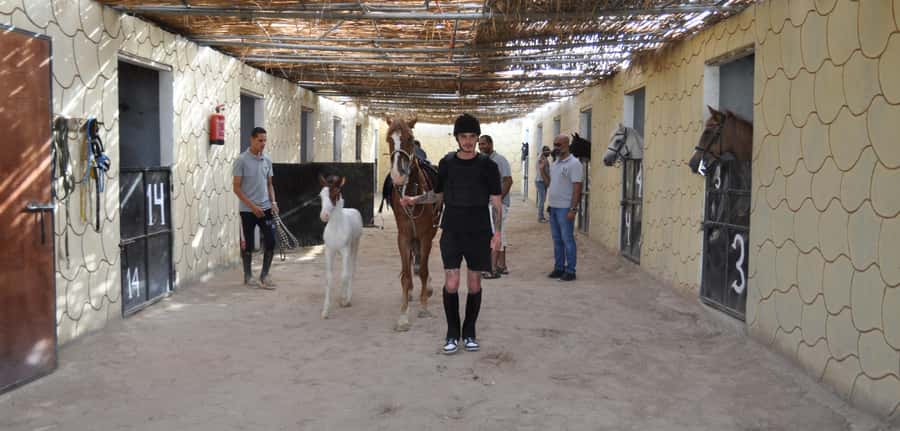 Hurghada: Horse Ride, BBQ Dinner, and Stargazing - Dinner at the desert camp